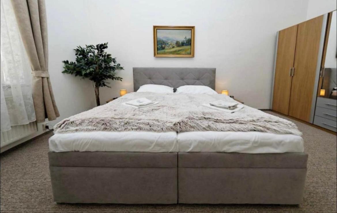 U Cisare No6 Apartament *